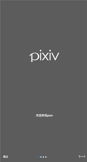 pixiv中文版截图2