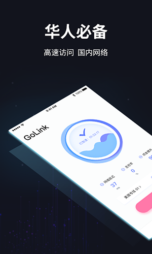 golink加速器国内版截图1