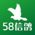 58信鸽免费版