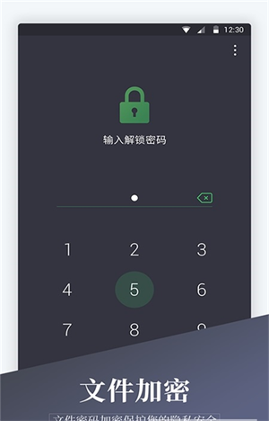 加密相册精灵新版截图1