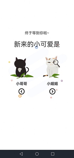 喵上动漫完整版截图3