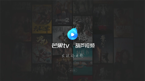 葫芦视频tv破解版截图3